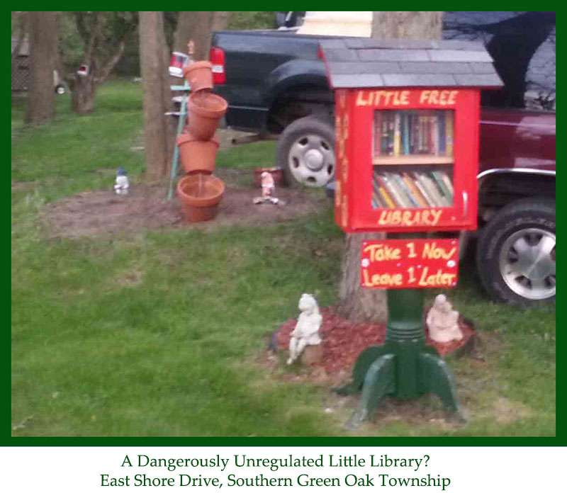 Little Library Dangerously unregulated cropped 800w