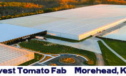 Farming's Near Future AppHarvestGreenhousePic1CropCaptioned