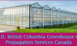 Billions being made in "Dirty Hippie" Industry. PropagationServicesCanada 2 2Mftsq BC greenhouse